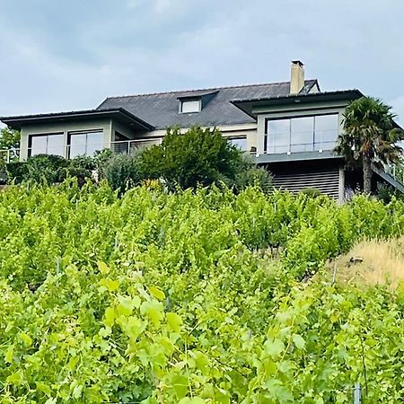 Maison Des Coteaux Blancs Chaudefonds-sur-Layon 외부 사진