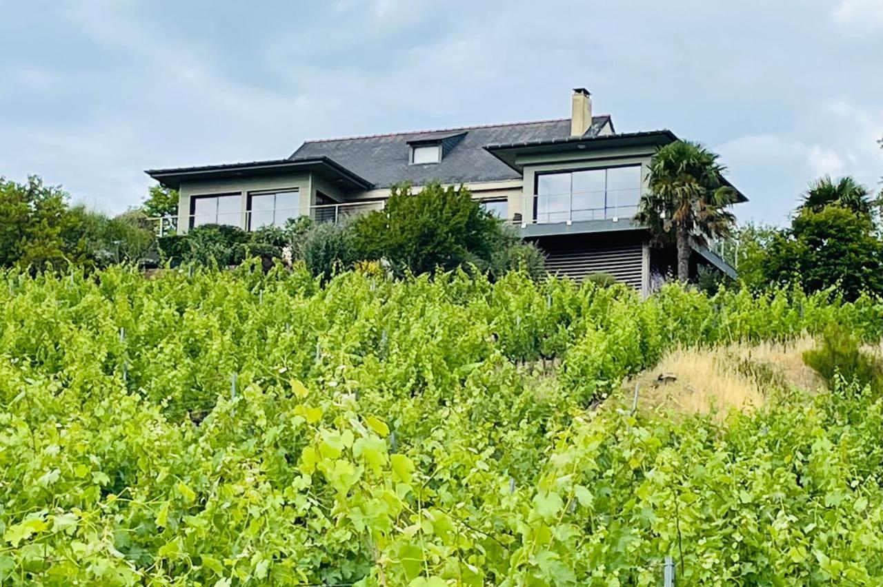 Maison Des Coteaux Blancs Chaudefonds-sur-Layon 외부 사진