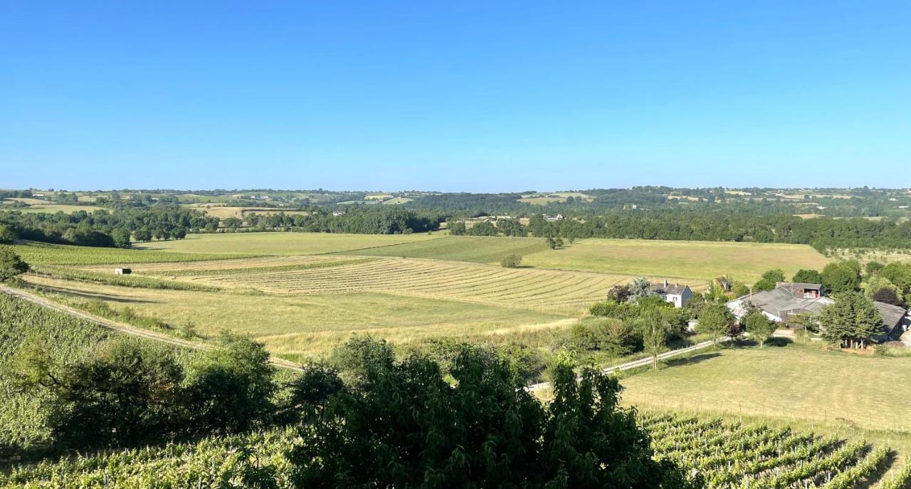 Maison Des Coteaux Blancs Chaudefonds-sur-Layon 외부 사진
