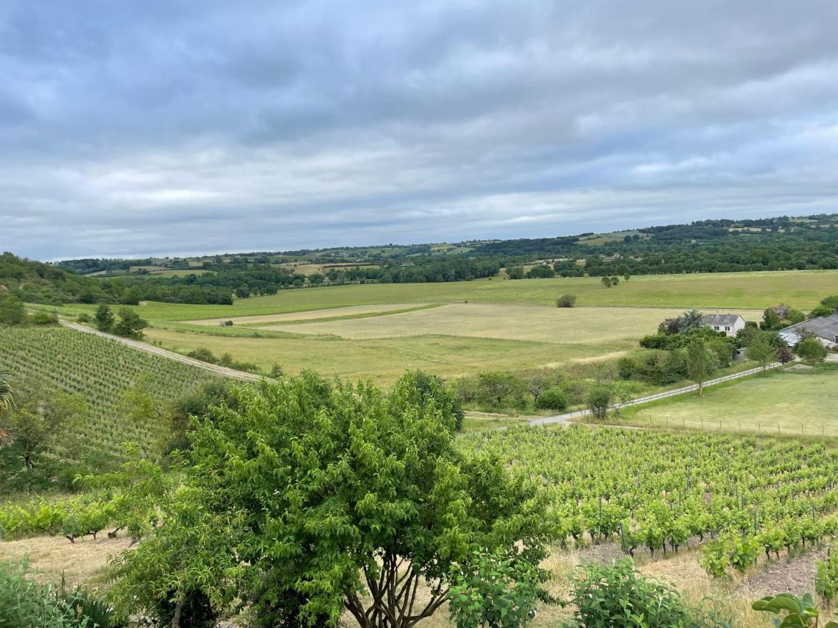 Maison Des Coteaux Blancs Chaudefonds-sur-Layon 외부 사진