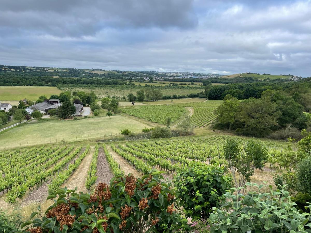 Maison Des Coteaux Blancs Chaudefonds-sur-Layon 외부 사진