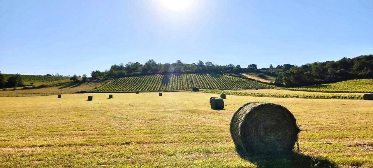 Maison Des Coteaux Blancs Chaudefonds-sur-Layon 외부 사진