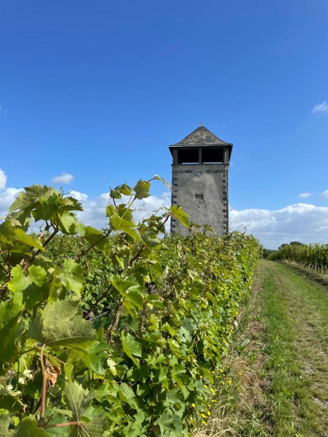 Maison Des Coteaux Blancs Chaudefonds-sur-Layon 외부 사진