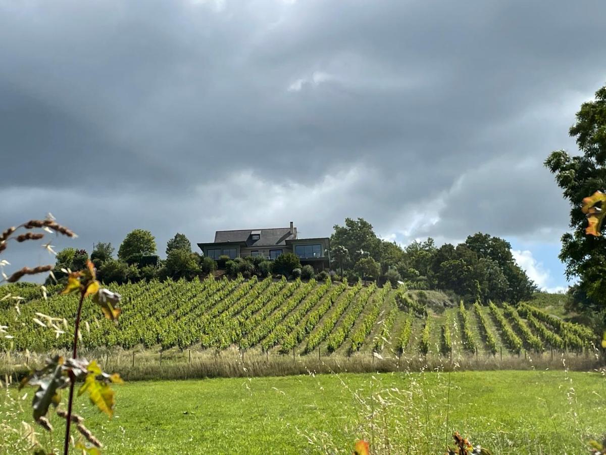 Maison Des Coteaux Blancs Chaudefonds-sur-Layon 외부 사진